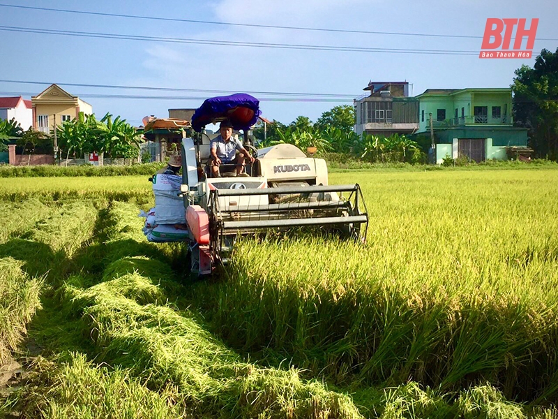 Hiệu quả mô hình trình diễn giống lúa thuần chất lượng cao J02 ở Lộc Sơn